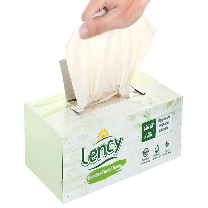 Omachi potato noodles with beef stew